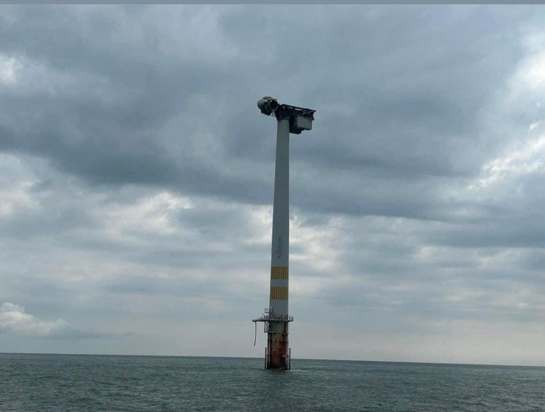 Wicklow Community Fighting To Save Biodiversity Threatened By Giant Wind Farm