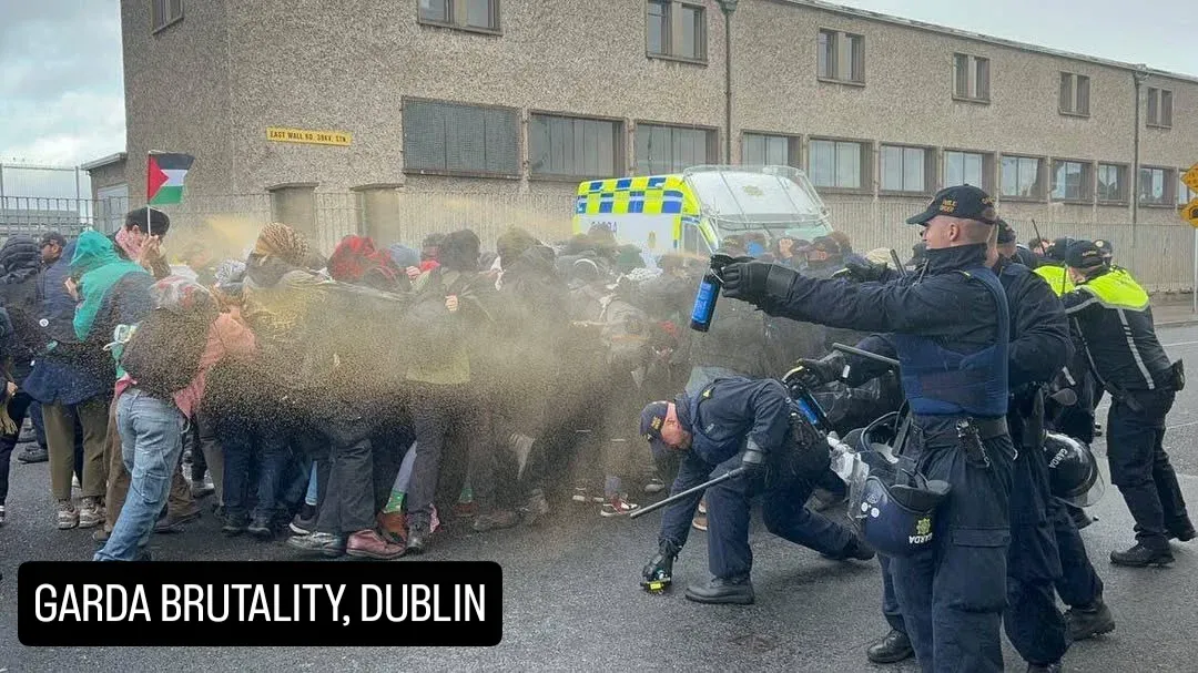 Reports from the Port