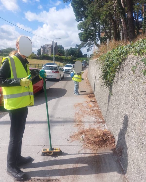 Socialist Republicans Call On DCC To Renovate Finglas Drake Inn Site
