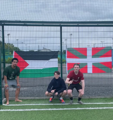 Fans Call Foul As Palestine Flag Confiscated At Aviva
