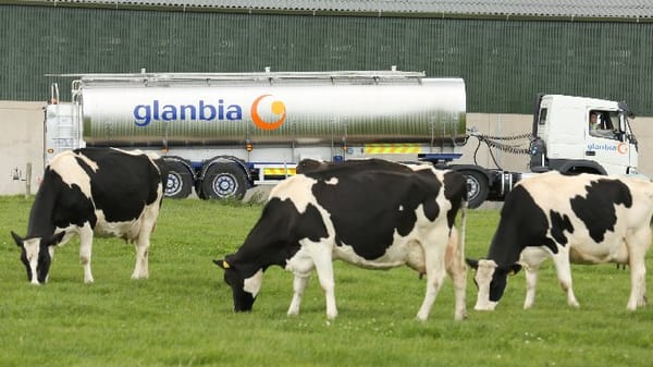 Udder Dependence: Corporate Processors’ Power In The Dairy And Beef Sectors