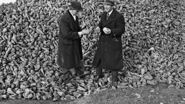 The Rise And Fall Of Irish Sugar Beet